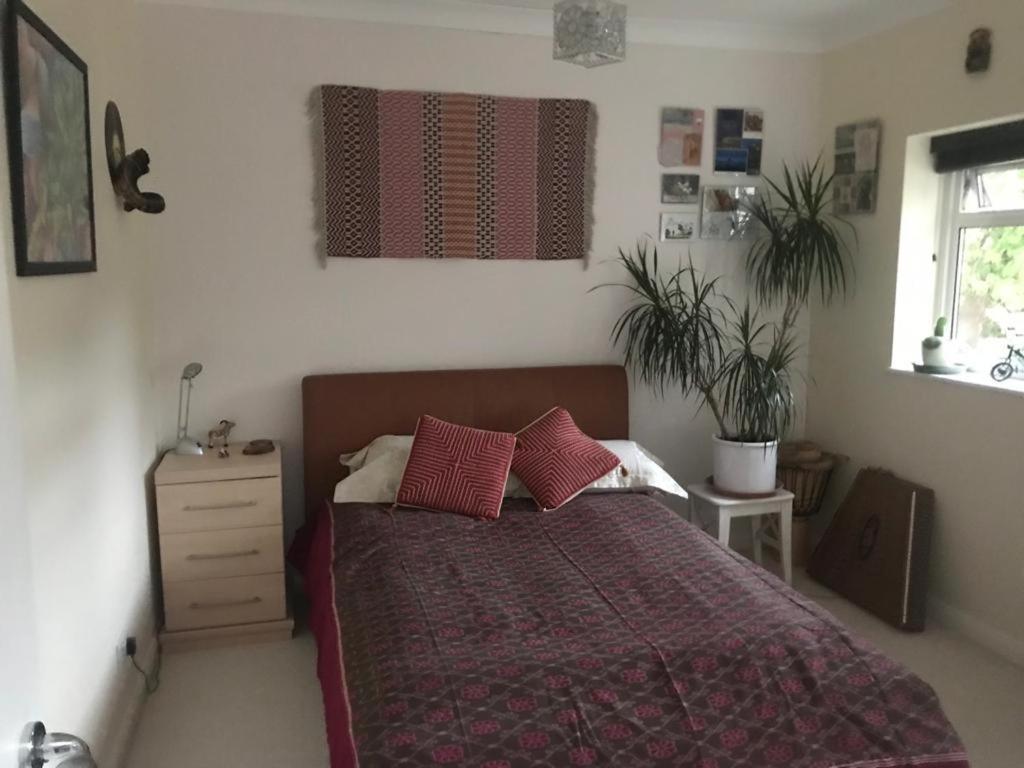 Serene Spacious Room Staines-upon-Thames Kültér fotó